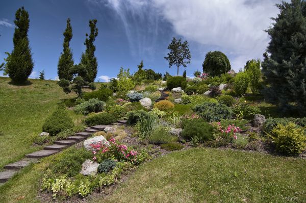 Steep Terrain Landscaping in Citrus Heights