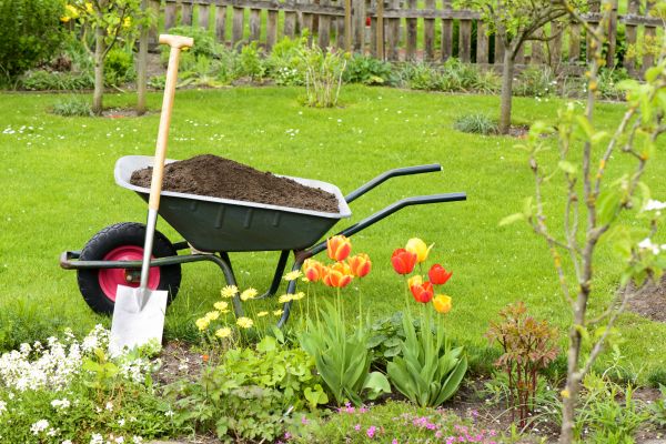 Spring Yard Renovation in Citrus Heights