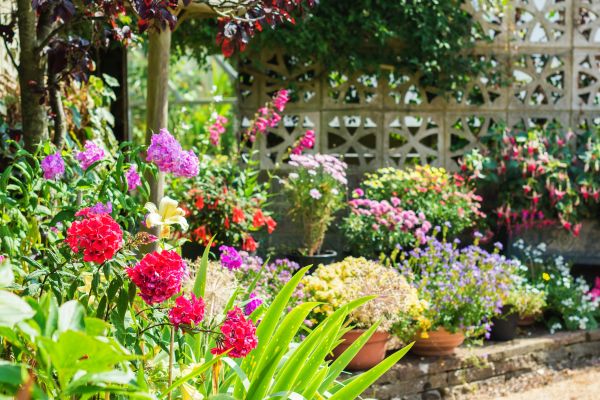 Spring Garden Maintenance in Citrus Heights
