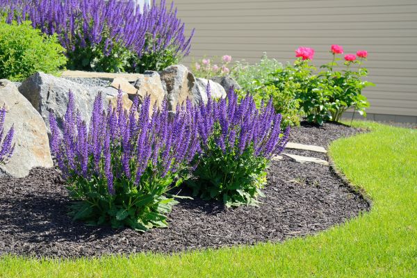 Landscape Planting Service in Citrus Heights