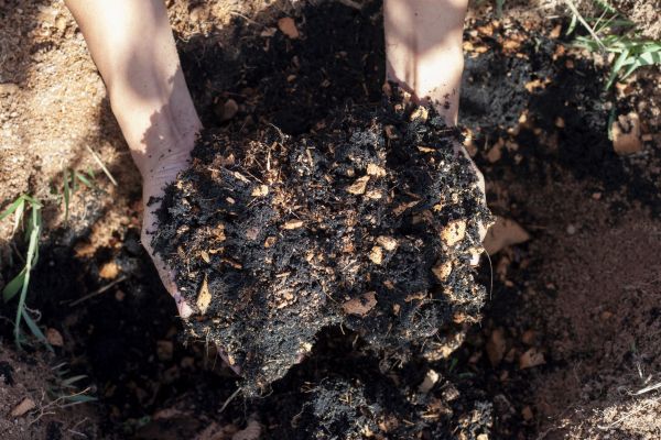 Organic Mulch Installation in Citrus Heights