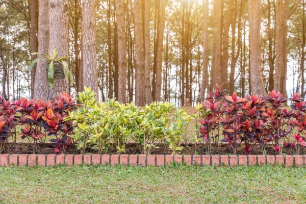 Small Garden Landscaping in Citrus Heights