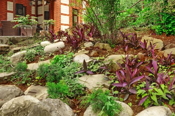 Rock Garden Landscaping in Citrus Heights