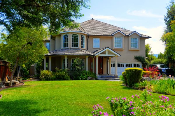 Large Yard Landscaping in Citrus Heights