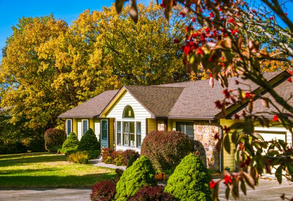 Ranch Landscaping in Citrus Heights