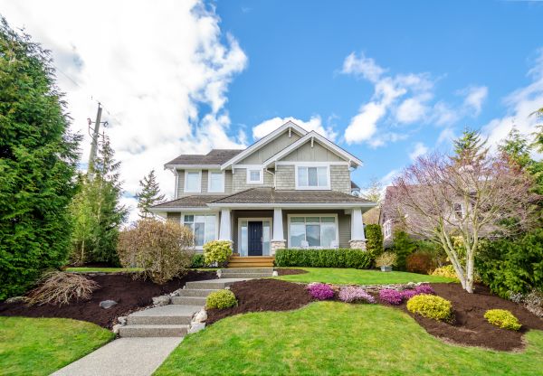 Landscaping Replacement in Citrus Heights
