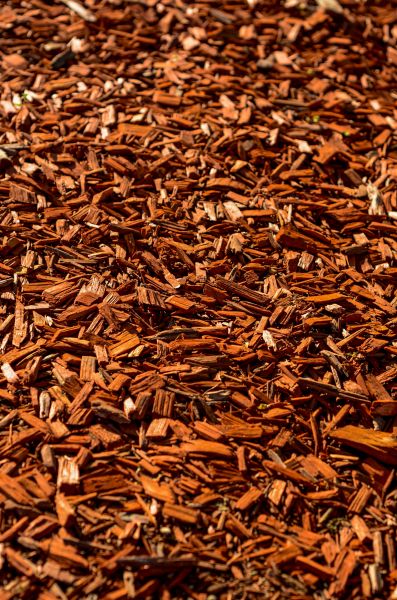 Cedar Mulch Spreading in Citrus Heights