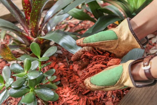 Residential Mulching in Citrus Heights