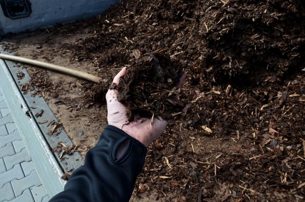 Condo Mulching in Citrus Heights