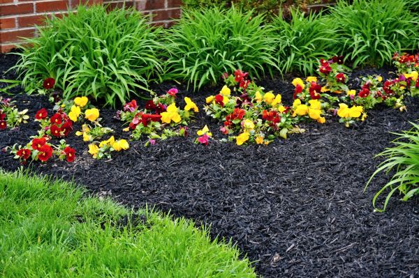 Apartment Mulching in Citrus Heights